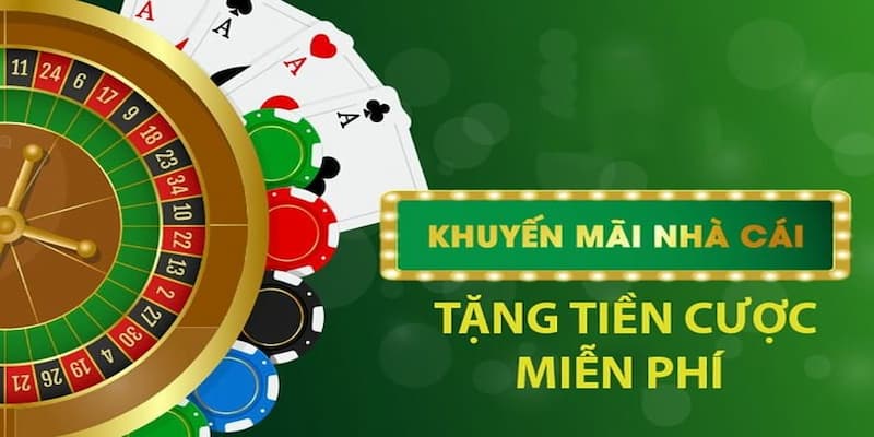 Các điều khoản quan trọng trong quy định dành cho thành viên mới